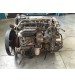 Motore Iveco Eurocargo 75E18 80E18 Tector F4AE3481B